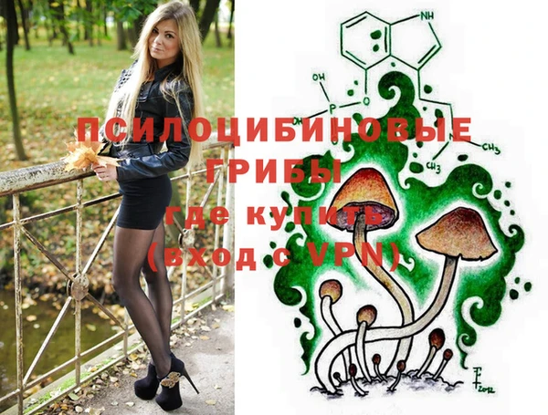 PSILOCYBIN Богородск